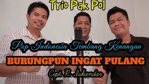 Burungpun Ingat Pulang (Trio Ambisi) | Cover Trio Pak Pol