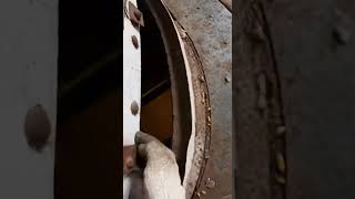 Beneath the Feed Storage #ruralbarn #foundfootage #abandonedvault #hiddenaccess