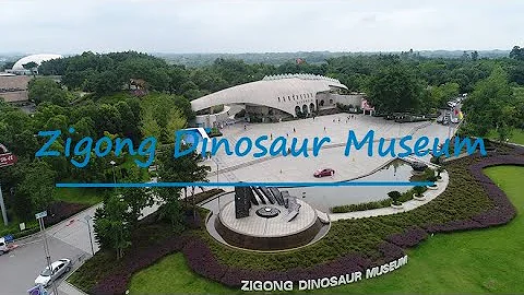 Welcome to Zigong Dinosaur Museum! - DayDayNews