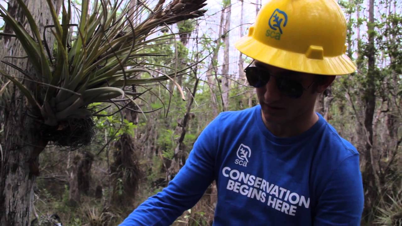 SCA Alternative Spring Break 2013: Big Cypress