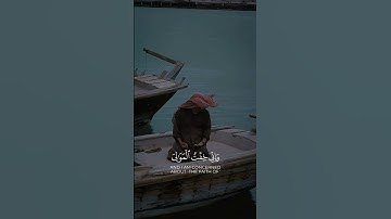 أرح قلبك قليلا🌱 حالات واتس اب قرآن كريم🌸🌿 #قرآن