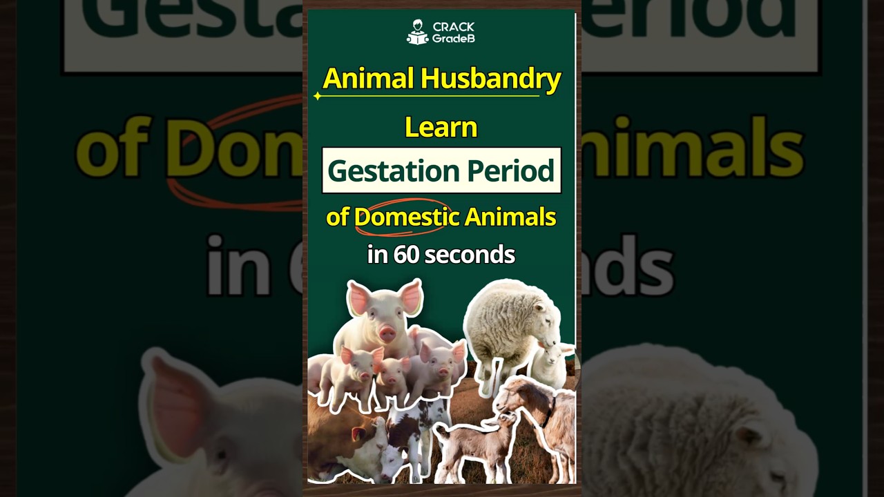 Gestation Period of Domestic Animals