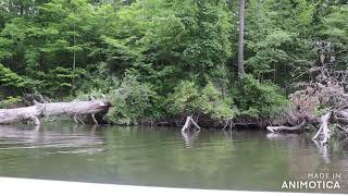 Memorial Day Trip