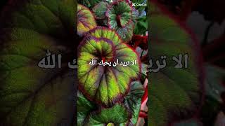 الا تريد أن يحبك الله الطريق_الى_الله shortsclip @refugiomental6032 youtube احمد علي العجمي