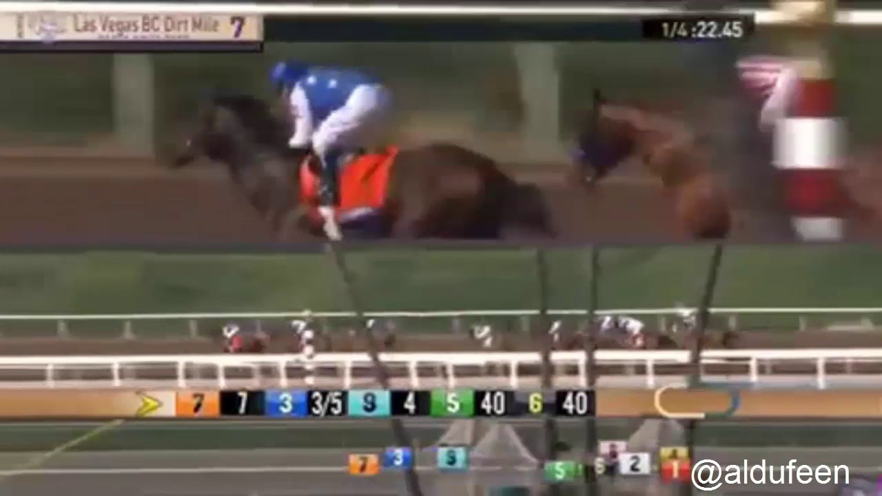 Tamarkuz by Speightstown - win Breeders´Cup Dirt Mile G1