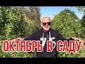 Садовые работы в октябре 2021 / Игорь Билевич