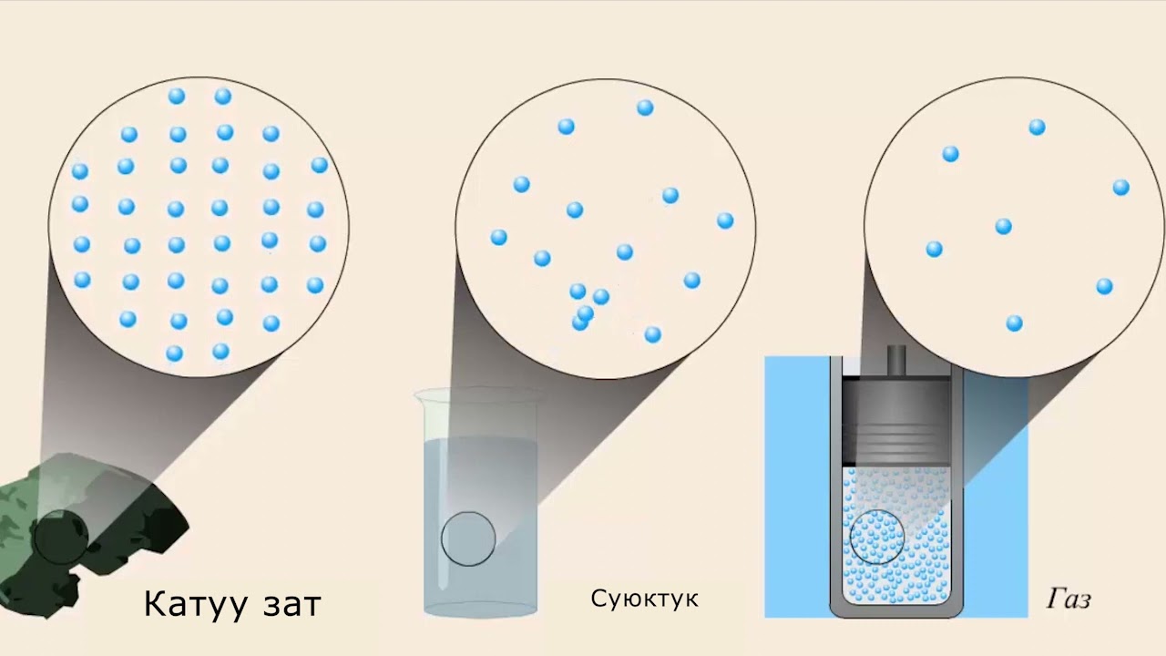 Ануста күтпеген заттар Ануста күтпеген заттар
