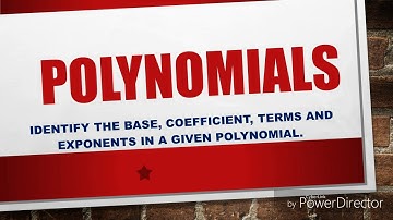 Polynomials (identify the term, coefficients,  constant etc.)