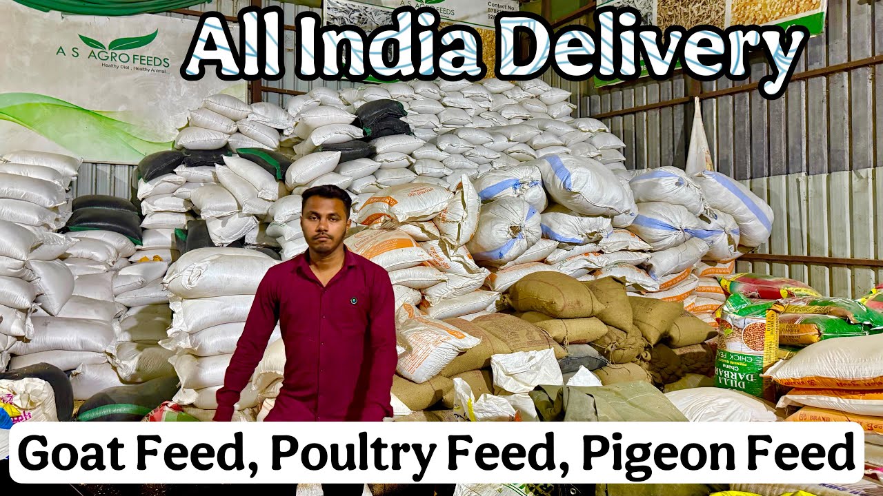A.S Agro Goat Feed, Kondhwa, Pune | Delivery Across India