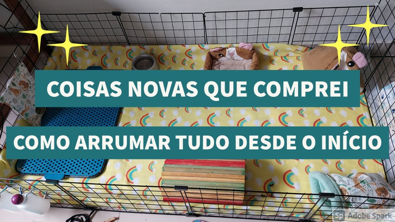 ROTINA COMPLETA | AUMENTEI O CERCADO, o que mudou? | PORQUINHOS DA ÍNDIA