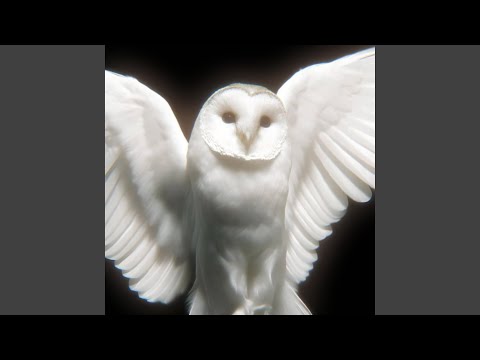 Watch codeine floodin on YouTube Watch codeine floodin on YouTube