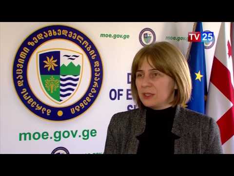 მალტის დროშის ქვეშ მცურავმა გემმა ფოთის ნავსადგური დააბინძურა