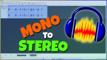 How to Change Mono to Stereo in Audacity 3 (2024)