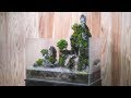 Making a Cliff Aquaterrarium with flowing waterfalls