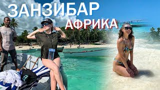 Занзибар. Почему в 5* отеле живут бомжи? Ныряем к Дельфинам за 10$