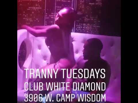 Tranny Stripclub
