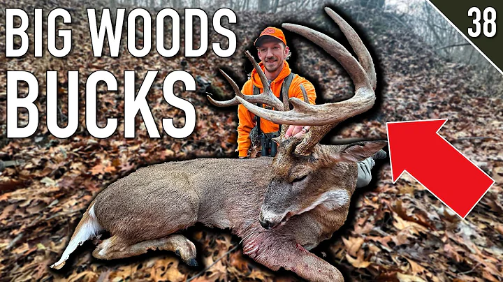 DEER DRIVING PUBLIC LAND - 2 Big Bucks DOWN!