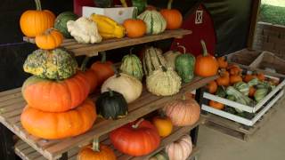 Visit the Annual Heritage Harvest Tour