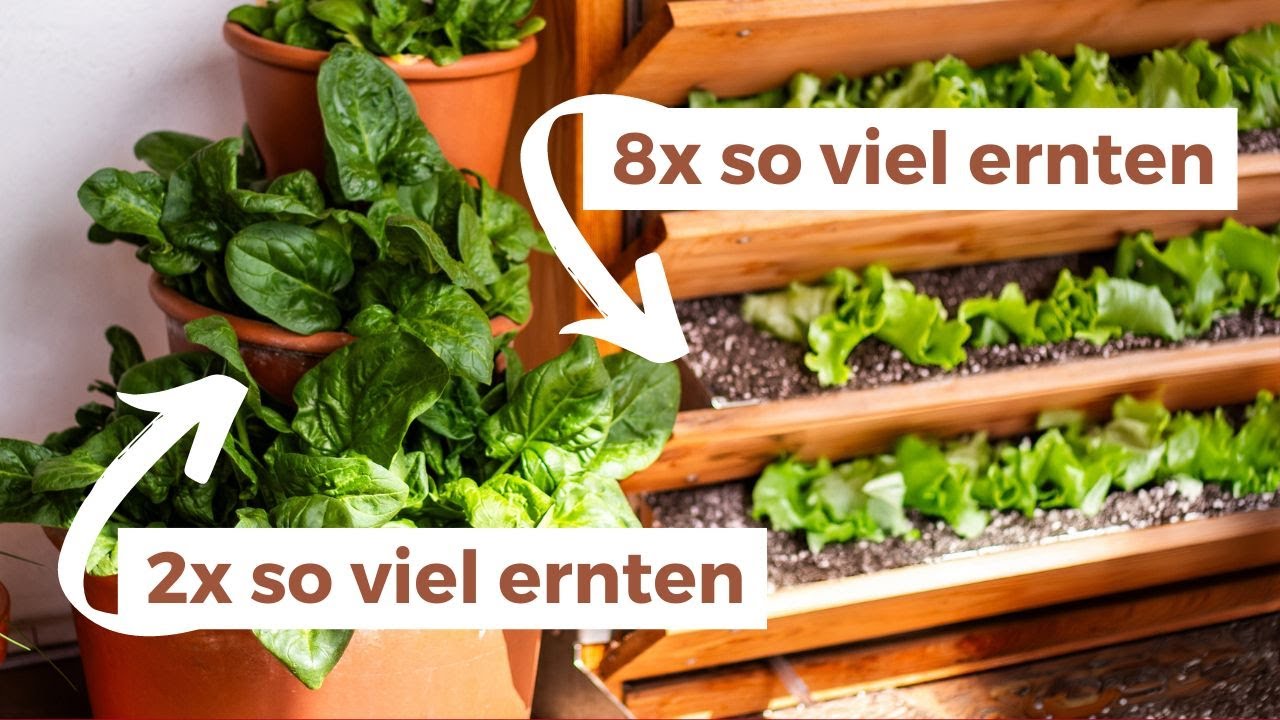 7 Tipps für eine große Ernte auf kleinstem Raum 🪴 Balkon | Handtuchgarten
