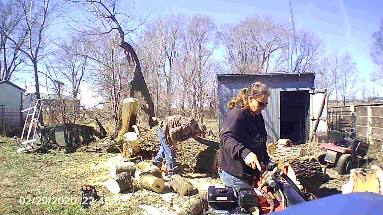 buckin big hackberry tree YouTube