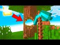 NICO, DISTRUGGE UN INTERO MONDO DI MINECRAFT REALISTICO!