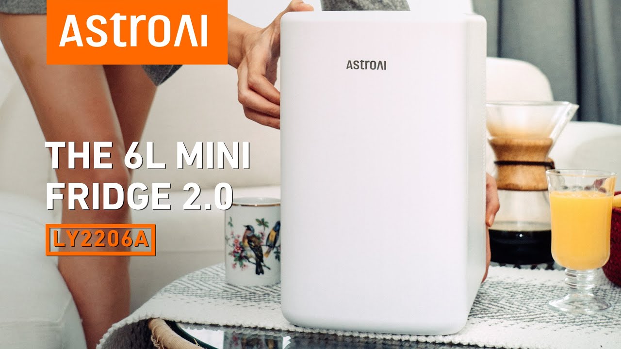 Mini Fridge, Potiry 6 Liter AC/DC Portable Thermoelectric Cooler and Warmer  Mini Fridge for Bedroom 