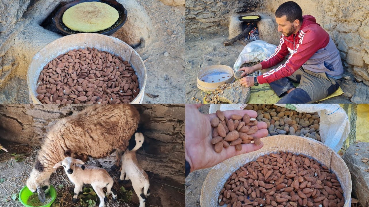 الحياة البلدية كتبقى أجمل.. من التراث أجدادنا في أيت وياغر