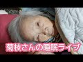 90歳代の高齢者の独り言です。
