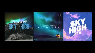 Elektronomia  Sky High X Vitality X Sky High Pt Ii  Mashup 