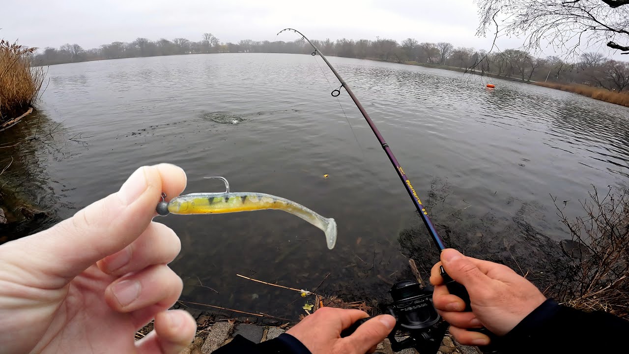 Swimbaits for Bass in NYC