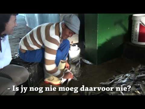 Video: Hoe Om Soutvis Op Te Berg