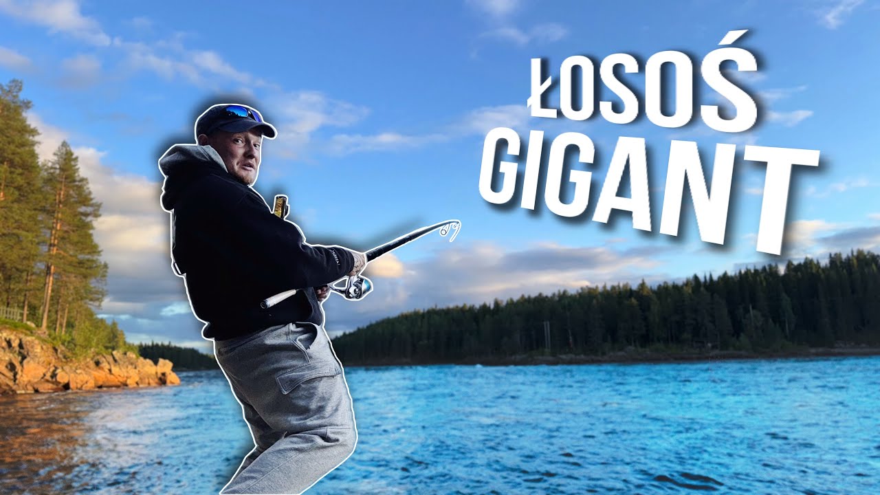 ŁOSOŚ LOKOMOTYWA i PRZYŁÓW nie do POBICIA!!! Laponia cz.2