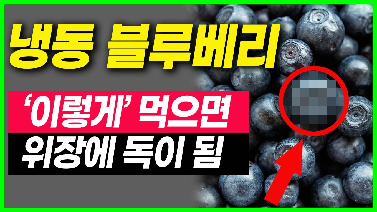 블루베리 절대 그냥 먹으면 안되요. 우유와 함께 먹으면 안되는 이유. 블루베리의 효능 블루베리 먹는법. 함께먹으면 보약이 되는 음식. 치매예방.노화예방.심장질환예방