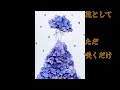 花は黙って咲いている(北島三郎);歌詞付き
