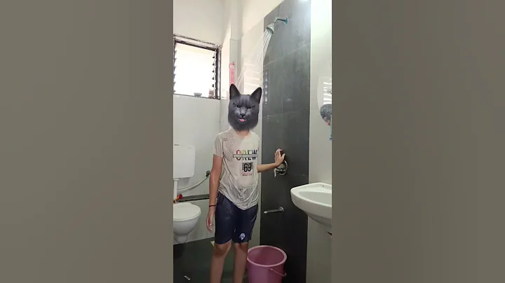 Video 8536471: sphynx cat cute, cartoon sphynx, cute cat shower, water cute cat