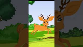 Deer Drawing and Animation in Adobe Animate