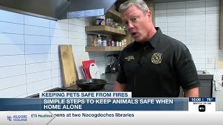 Pet fire safety: How to protect your animals from house fires