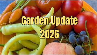 Garden Update