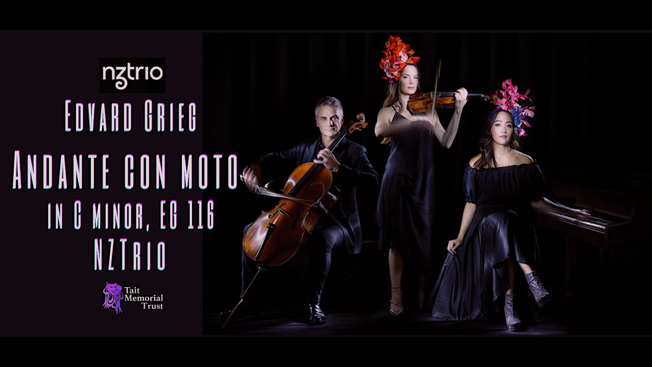 Andante con Moto in C minor EG 116, Edvard Grieg | NZTrio
