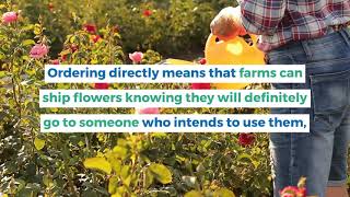 Sami Sacha Flowers - Flowers from farm to your doorstep