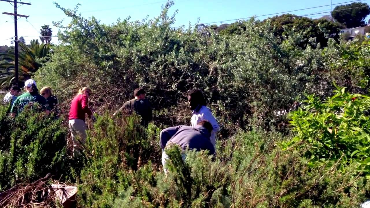 CHART #85 San Diego Community Service Event