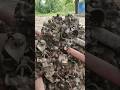 #construction #YouTubeShorts #CivilEngineering #BuildingWork #ViralShorts #Trending #LabourWork