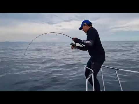 Ripple Fisher Selfish Ns 632 Pe2 - YouTube