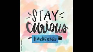 Stay Curious
