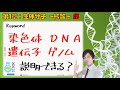 【大学 生化学】第１章：生体高分子～核酸～ 序　「染色体・DNA・遺伝子・ゲノム」説明できる？