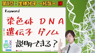 【大学 生化学】第１章：生体高分子～核酸～ 序　「染色体・DNA・遺伝子・ゲノム」説明できる？