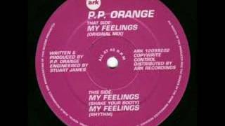 P.P. Orange - My Feelings (Original Mix) chords