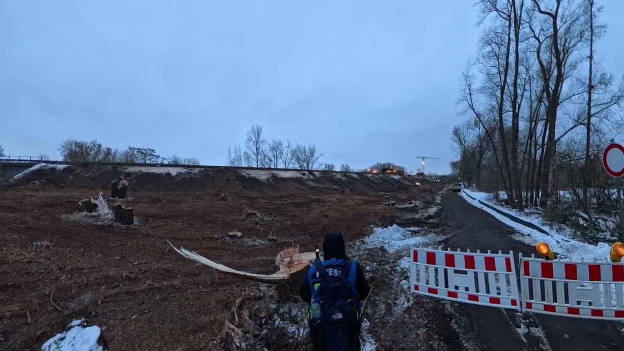 29.1.26 unterwegs an der blauen brücke während der rodung in der Leinemasch