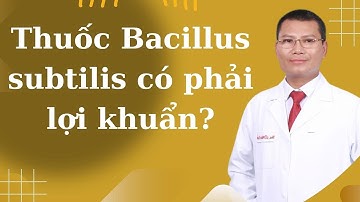 Thuốc Bacillus subtilis chăm sóc đường ruột của bé khoẻ mạnh