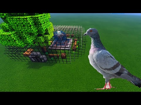 Farm For PIGEON In Minecraft 